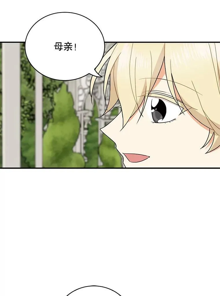 50.茶53
