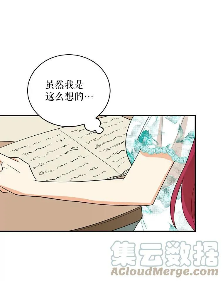 50.茶24