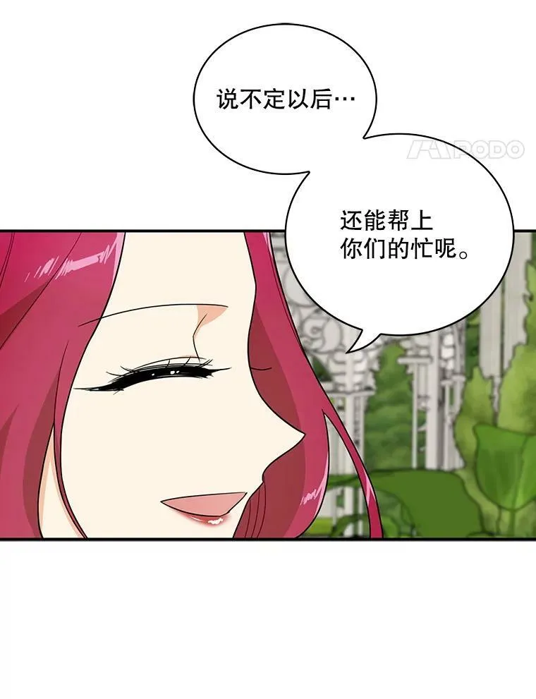 50.茶52