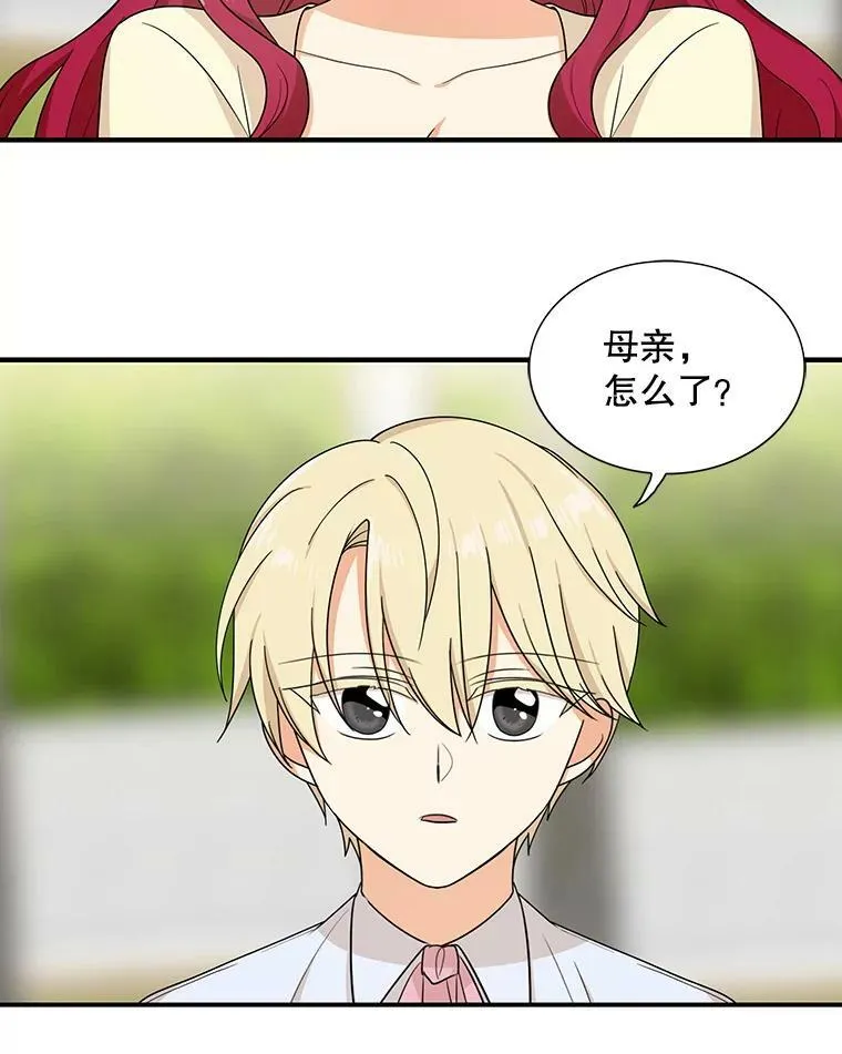 44.卡西斯的开解11