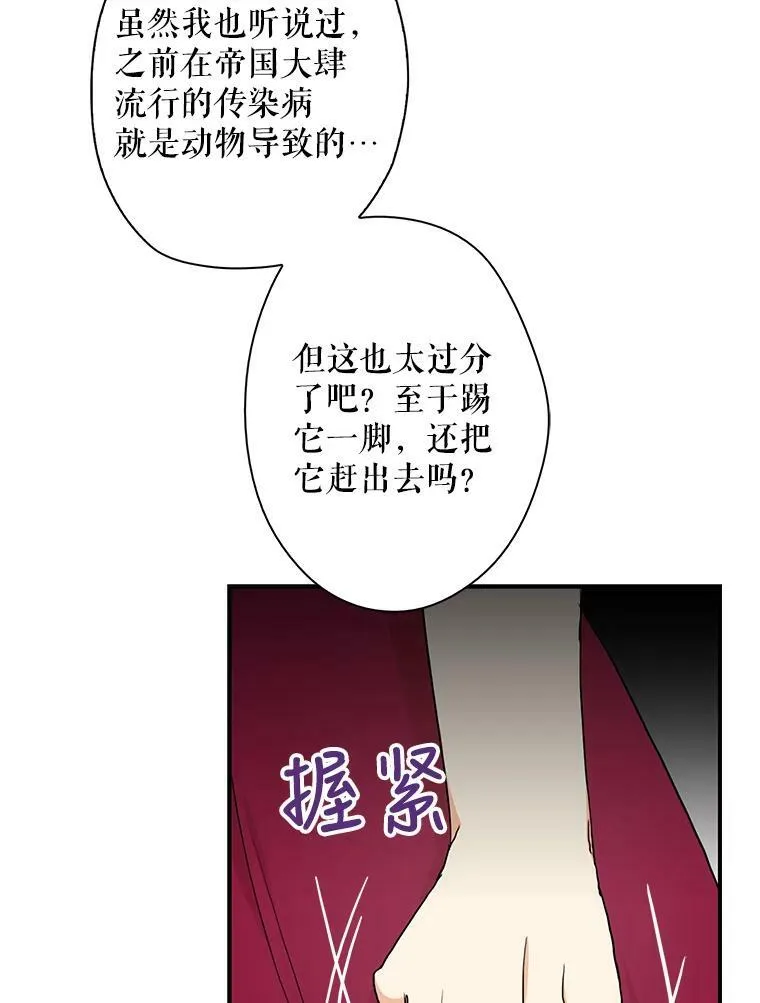 67.卡丽娜和猫35
