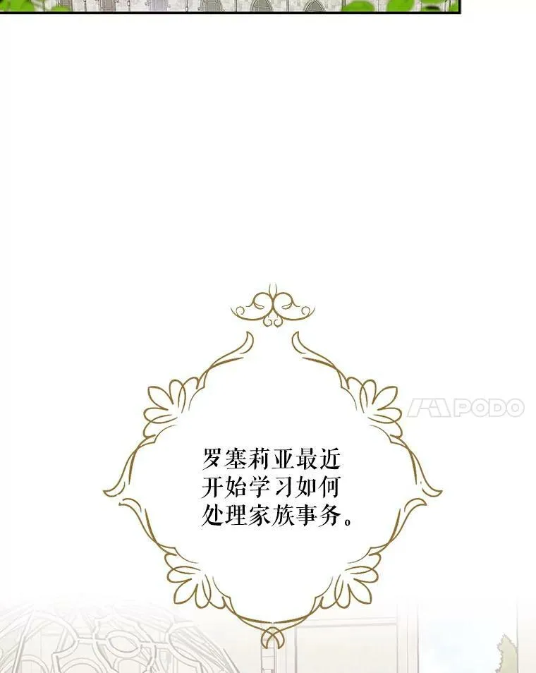 50.茶19
