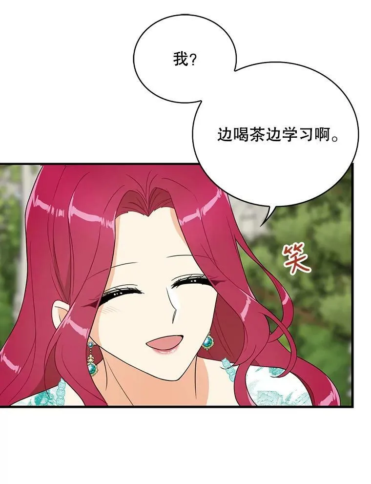 50.茶47
