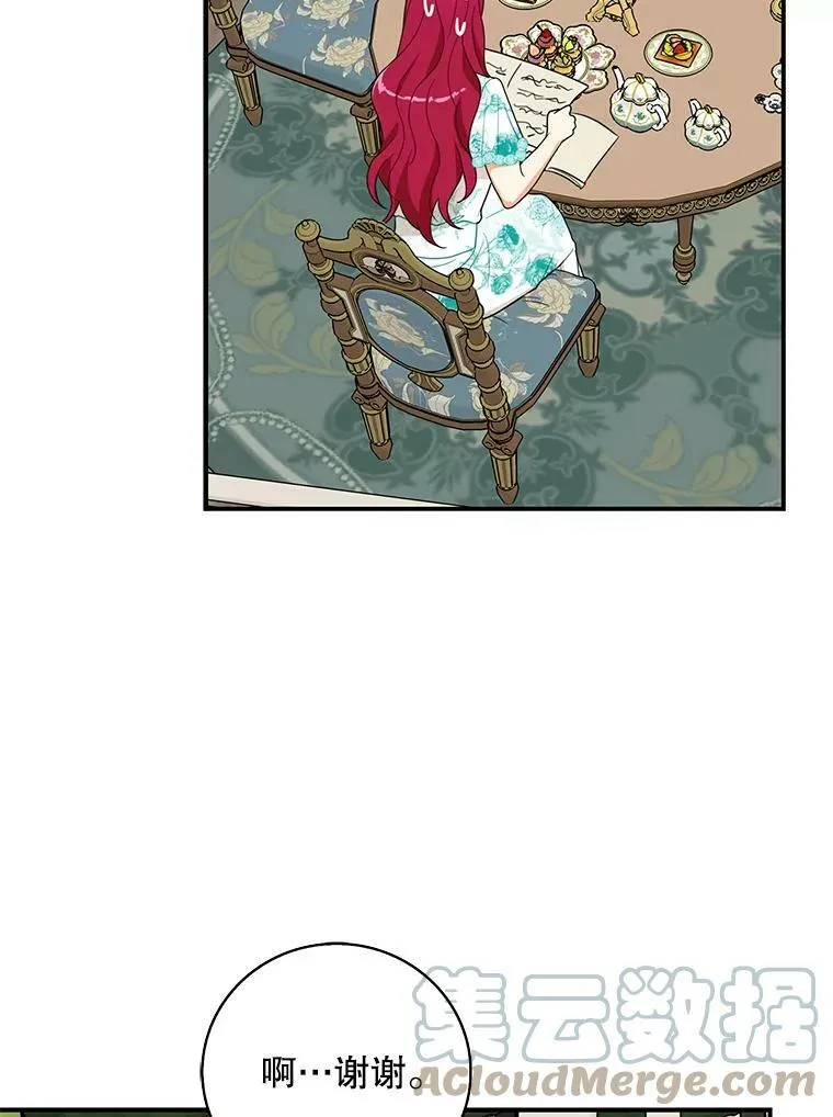 50.茶27