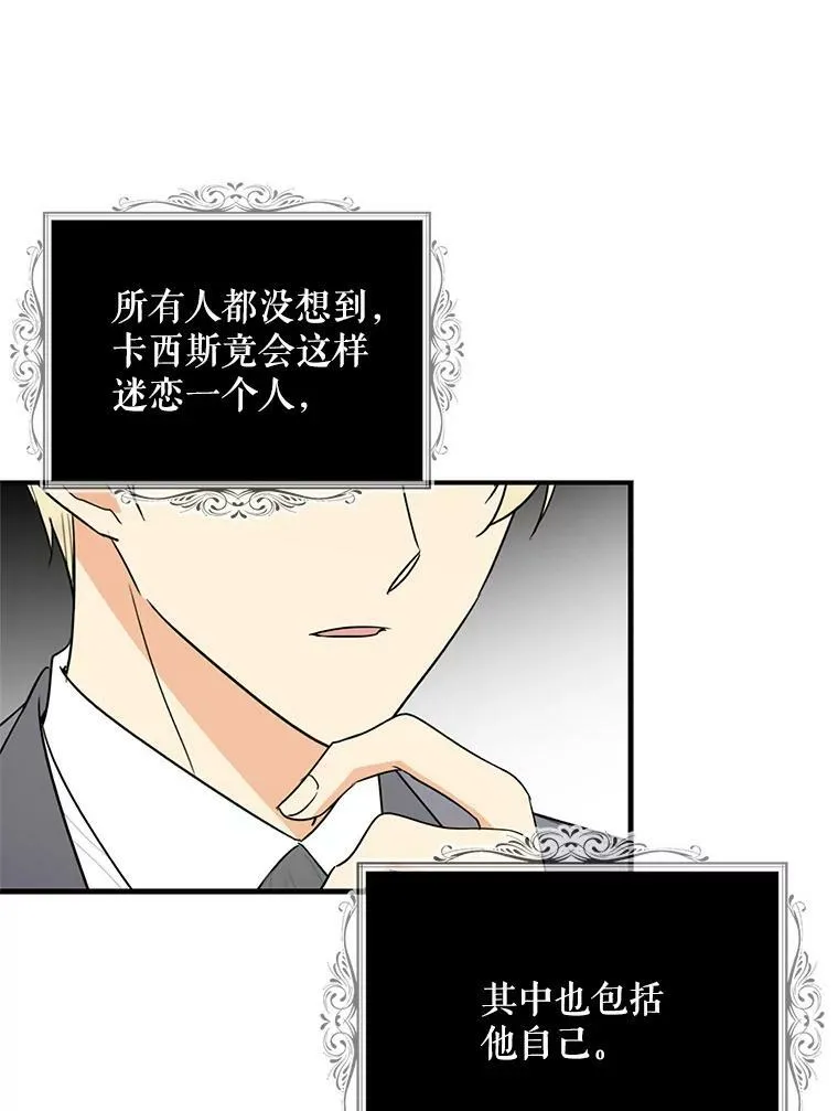 50.茶5