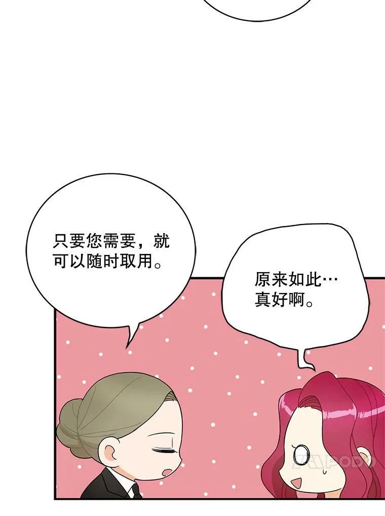 50.茶35