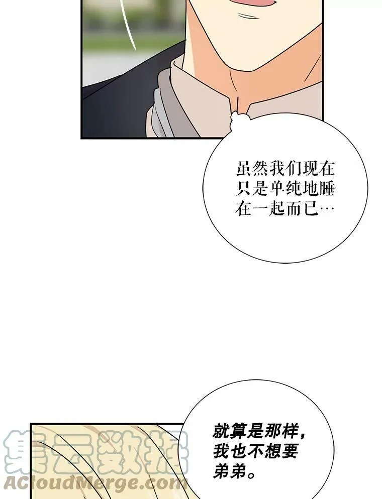 44.卡西斯的开解66