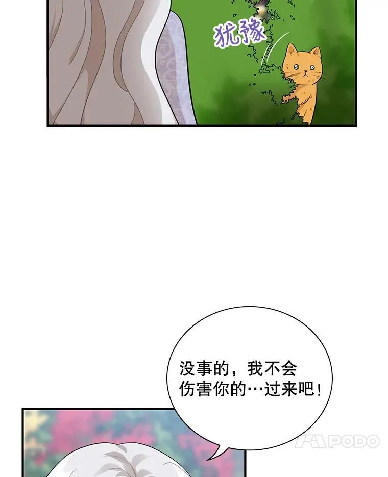 67.卡丽娜和猫53