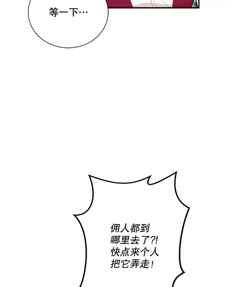 67.卡丽娜和猫25