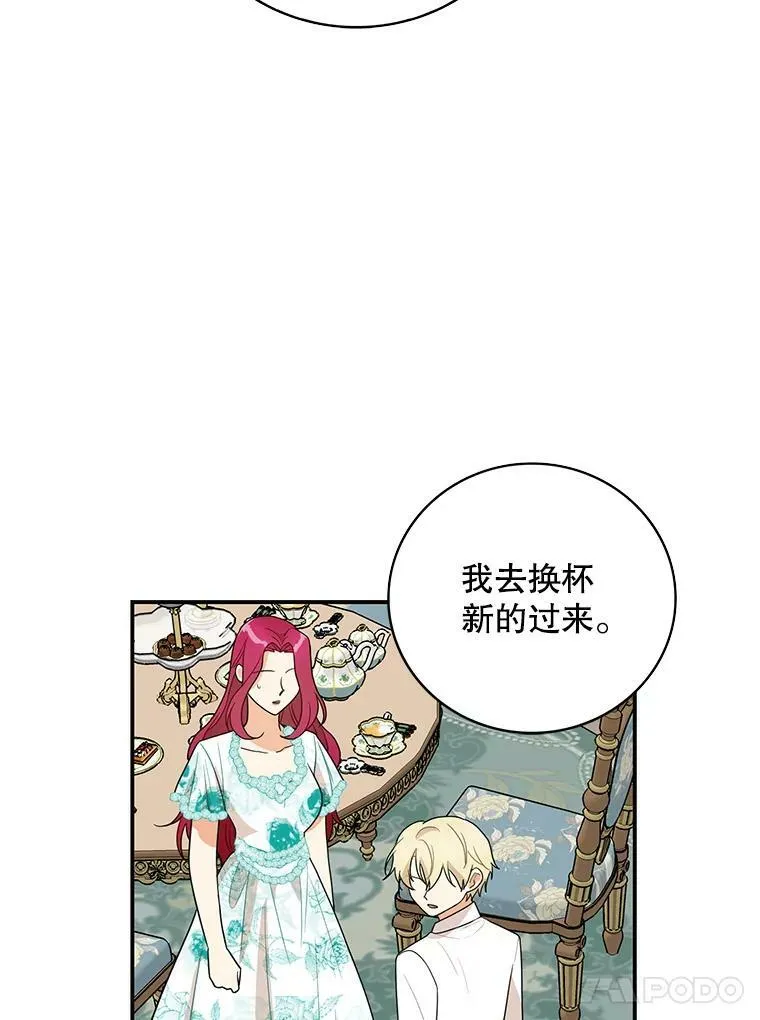 50.茶65