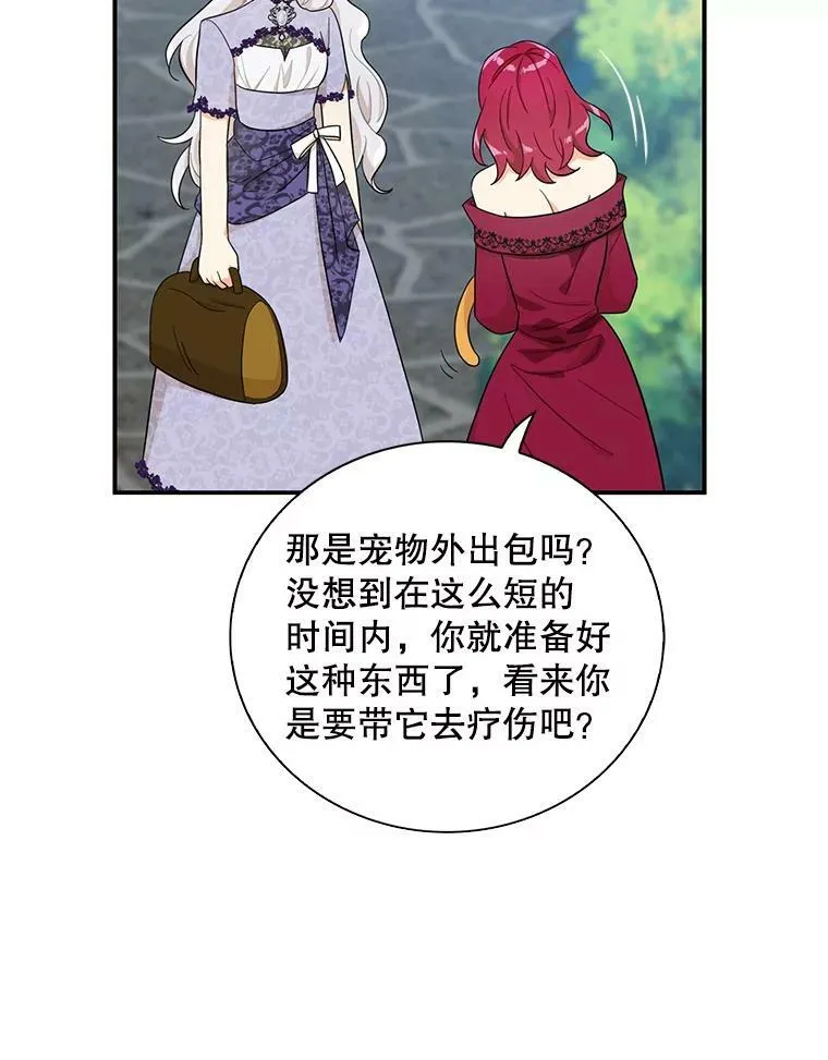 67.卡丽娜和猫65