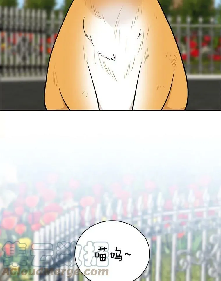 67.卡丽娜和猫18