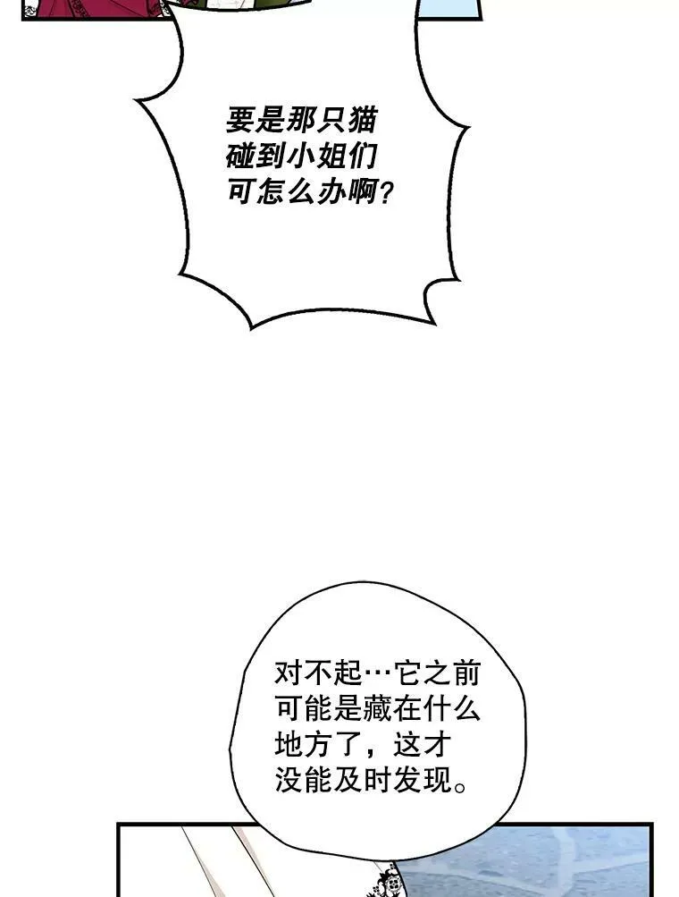 67.卡丽娜和猫32