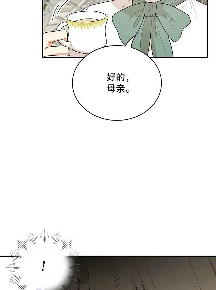 50.茶56