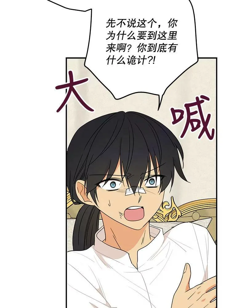 48.探病31