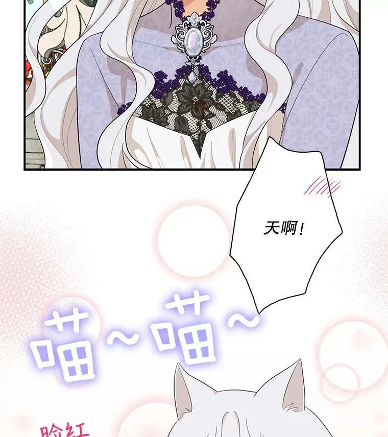 66.艾斯的警告88