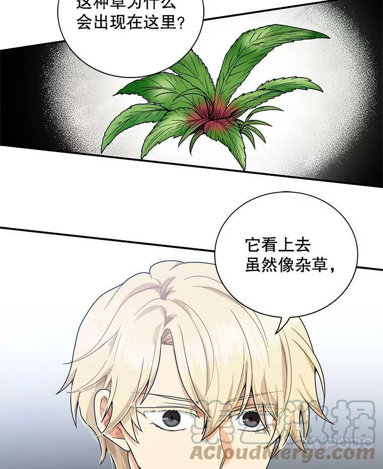 61.幸福6