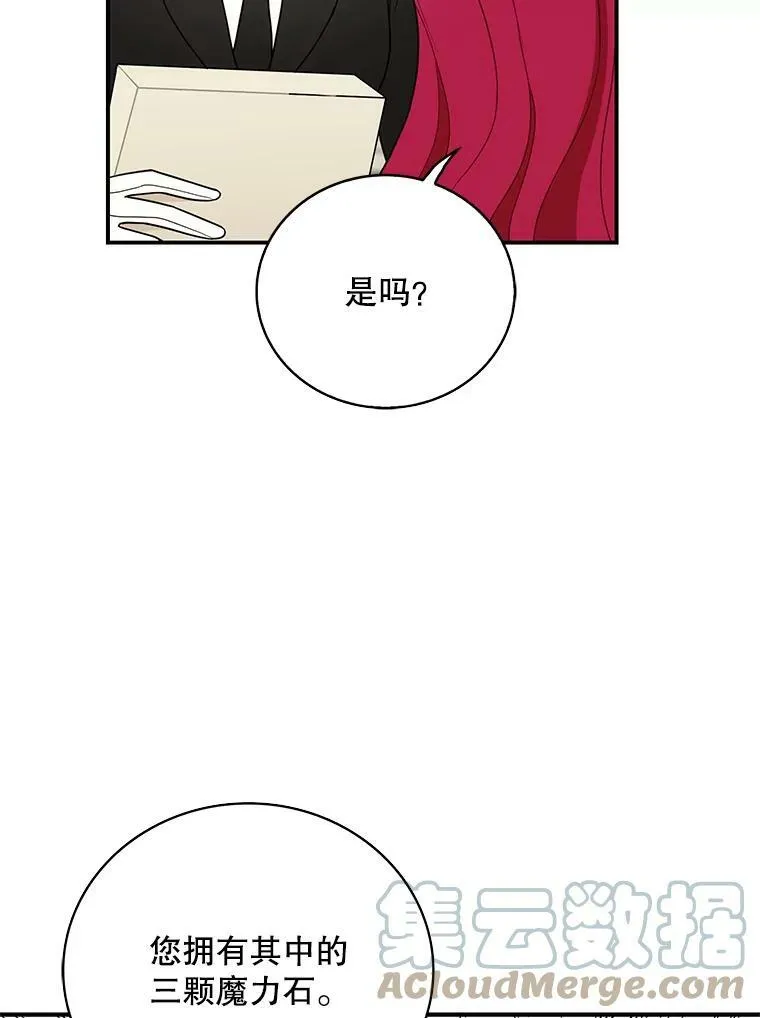 50.茶33