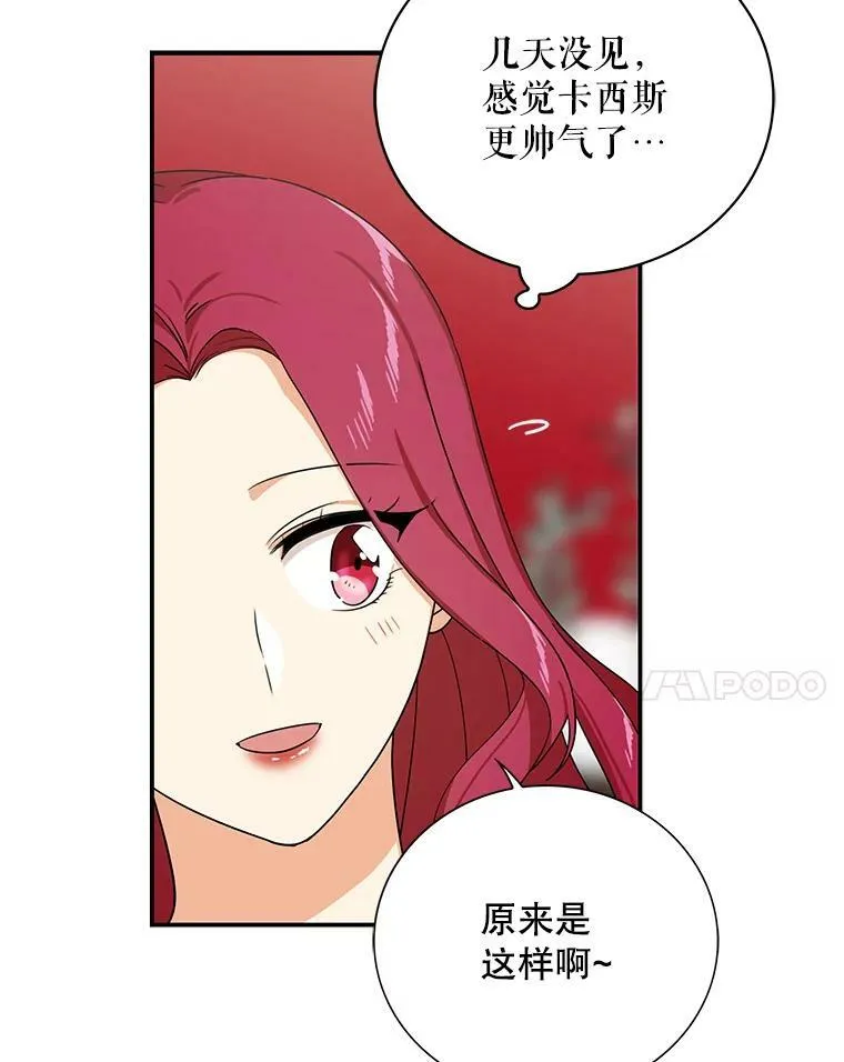 28.卡西斯消失了？17