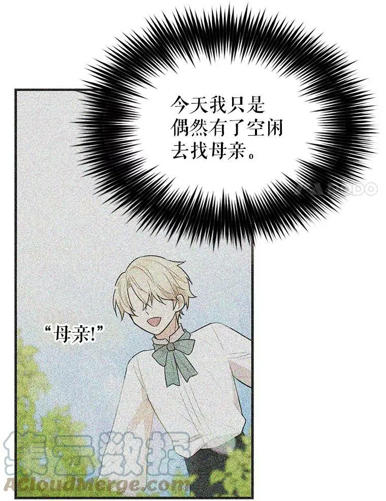 50.茶81