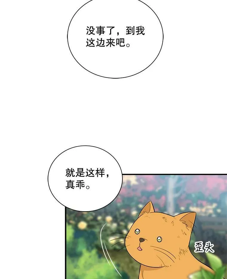 67.卡丽娜和猫49