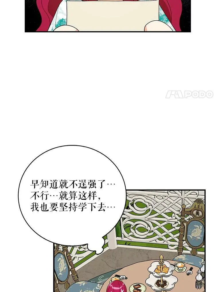 50.茶26