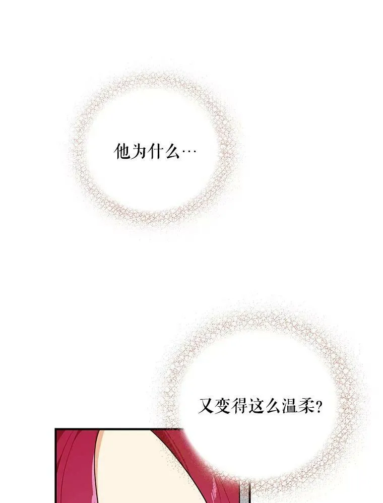 26.野餐4