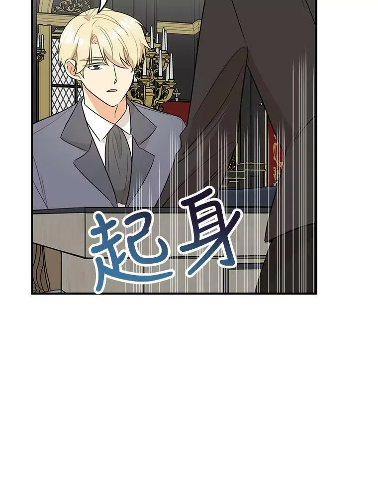 50.茶13