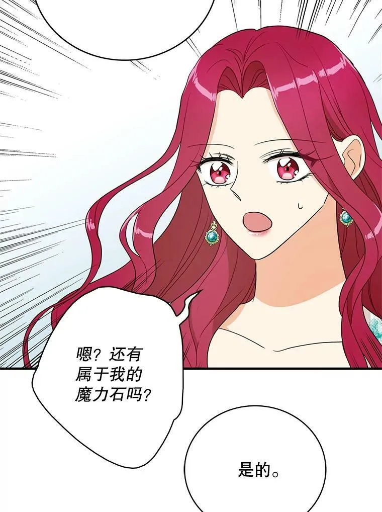 50.茶34