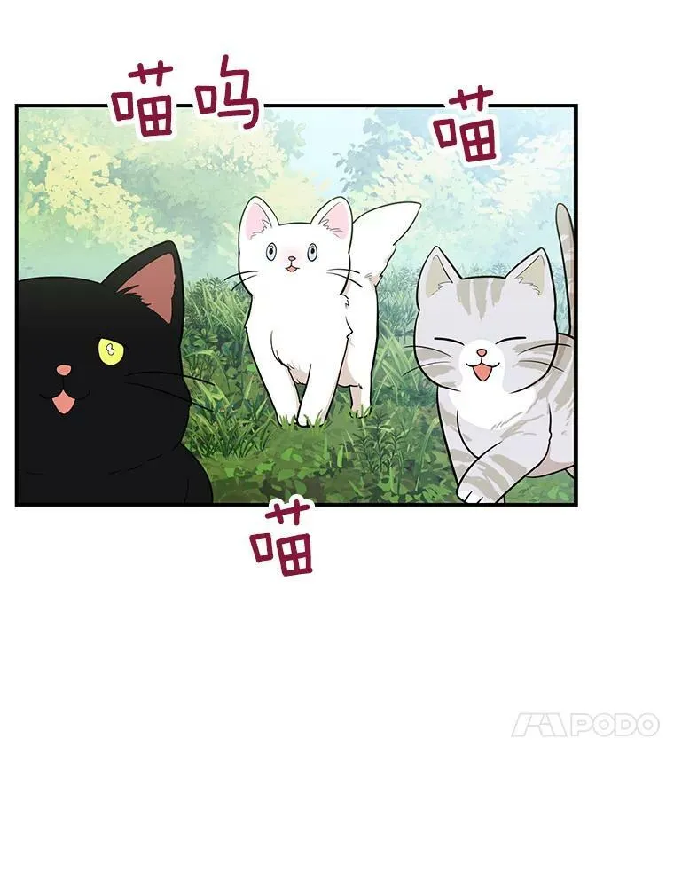 68.卡丽娜的邀请函16