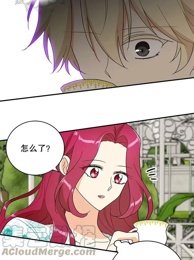 50.茶57