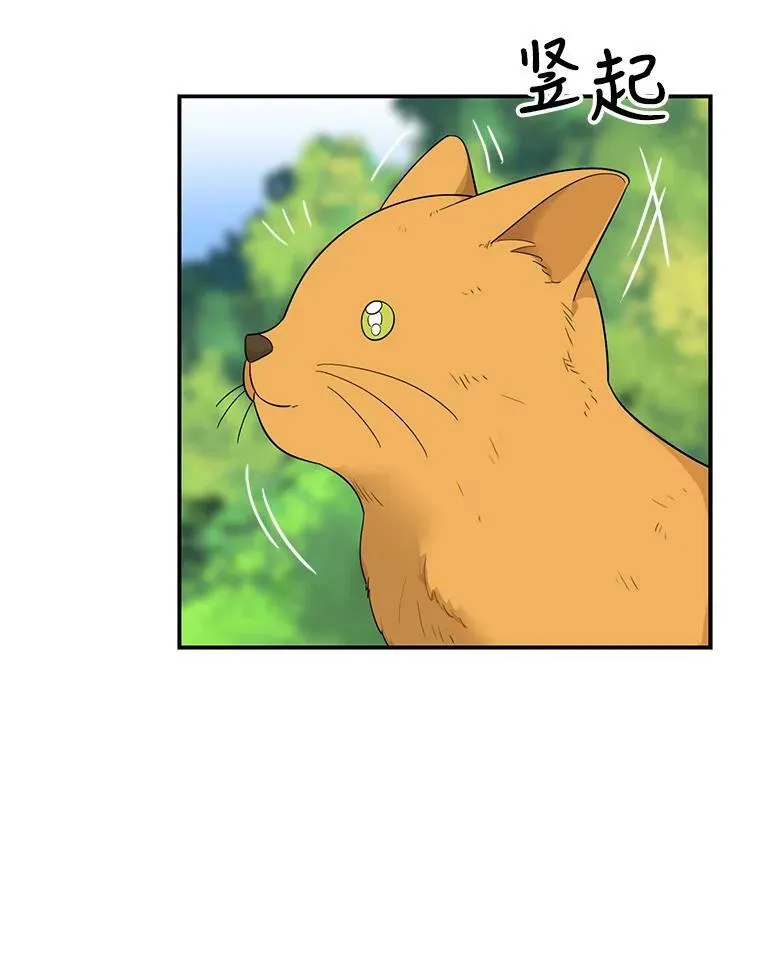 67.卡丽娜和猫55