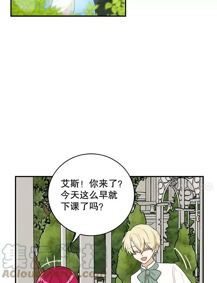 50.茶45
