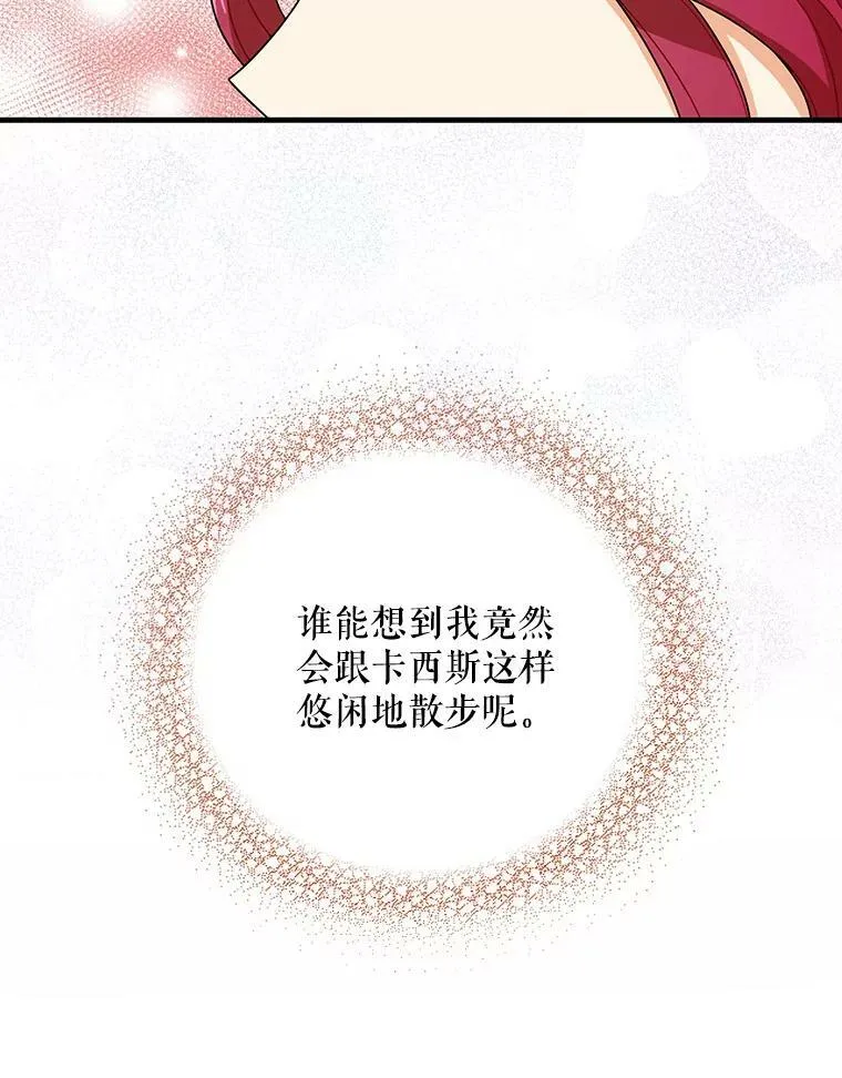 28.卡西斯消失了？65