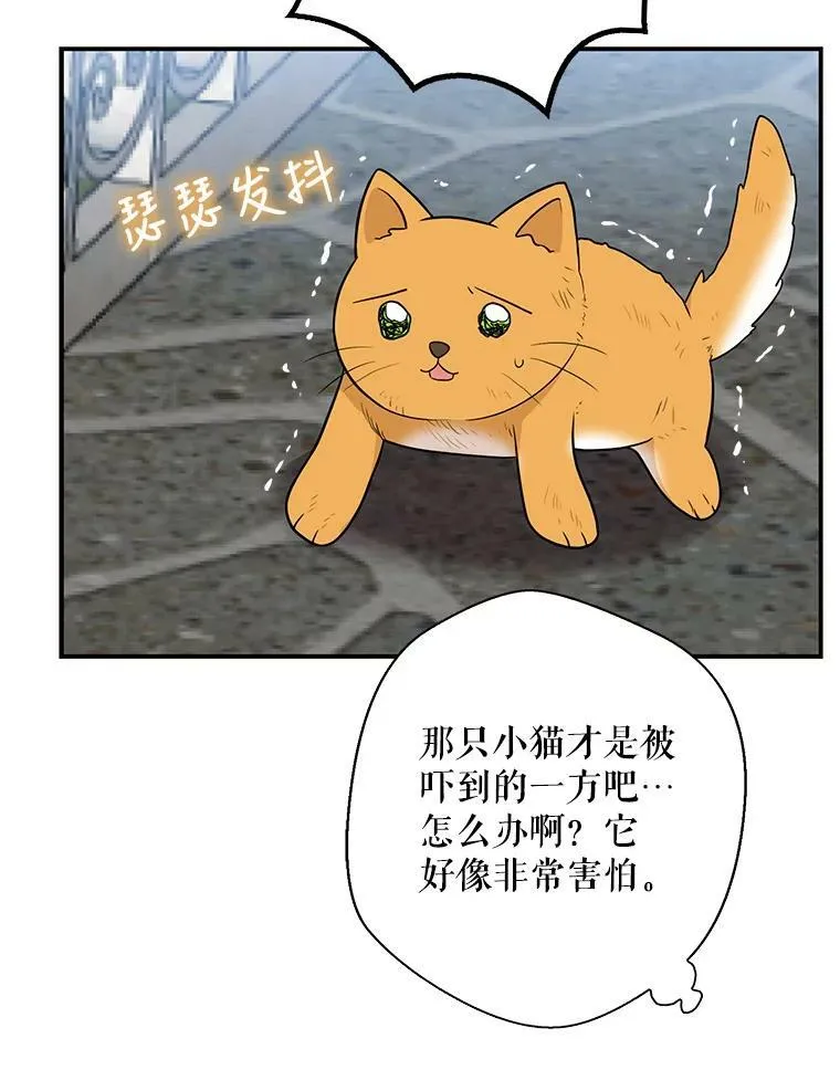 67.卡丽娜和猫26