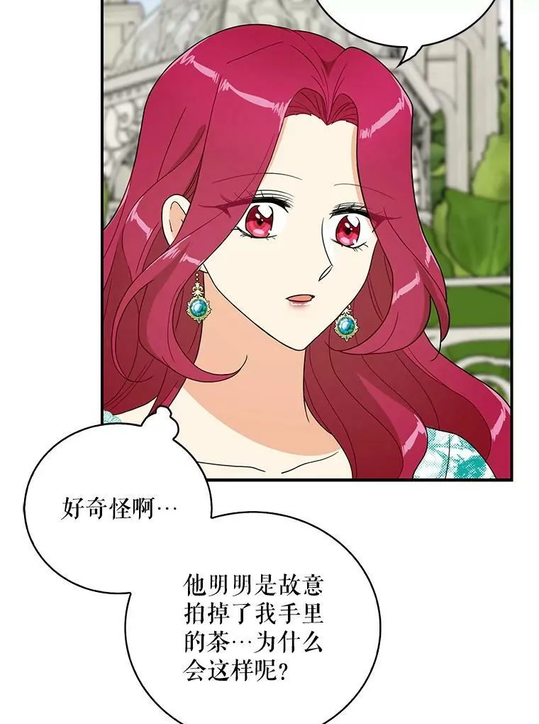 50.茶64