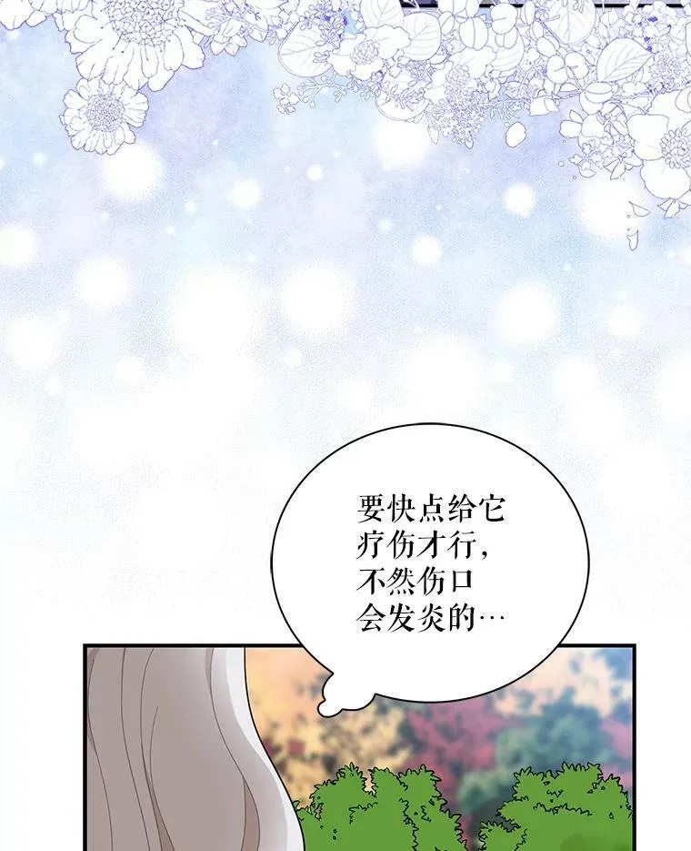 67.卡丽娜和猫52