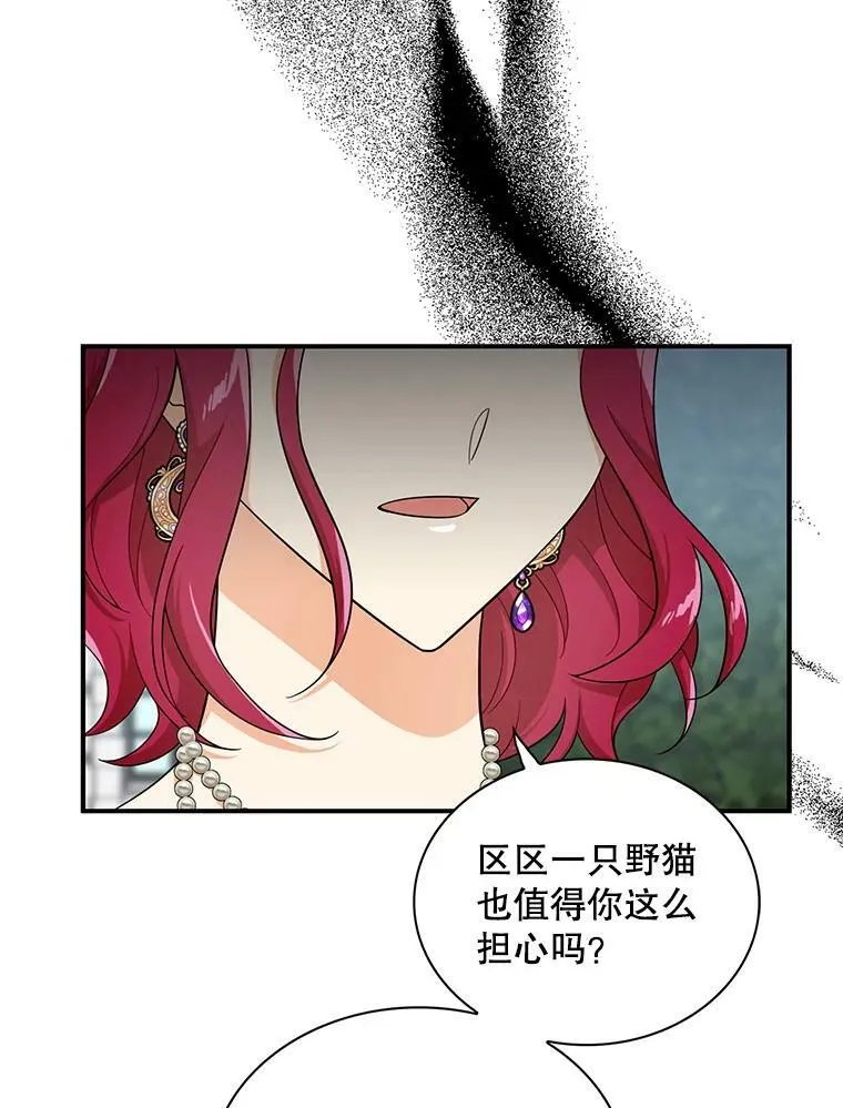 68.卡丽娜的邀请函35