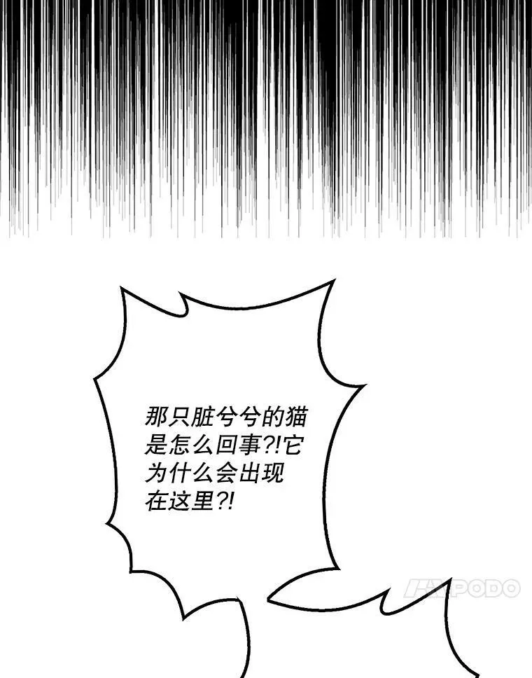 67.卡丽娜和猫23