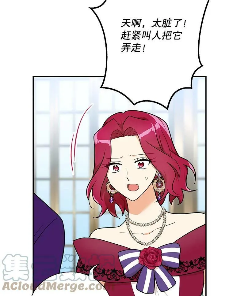 67.卡丽娜和猫24