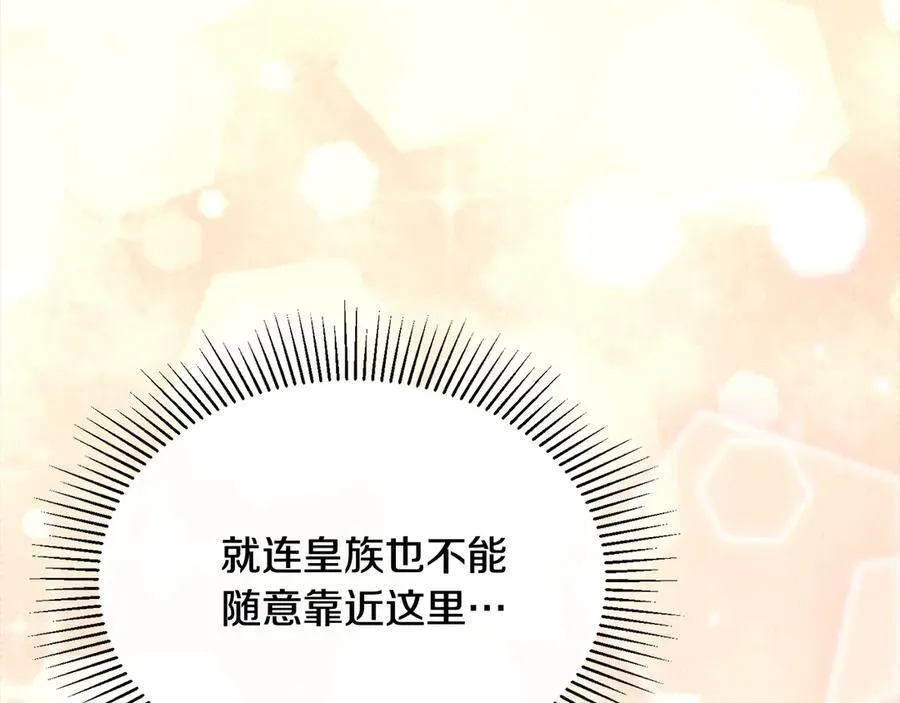 第90话 精灵世界43