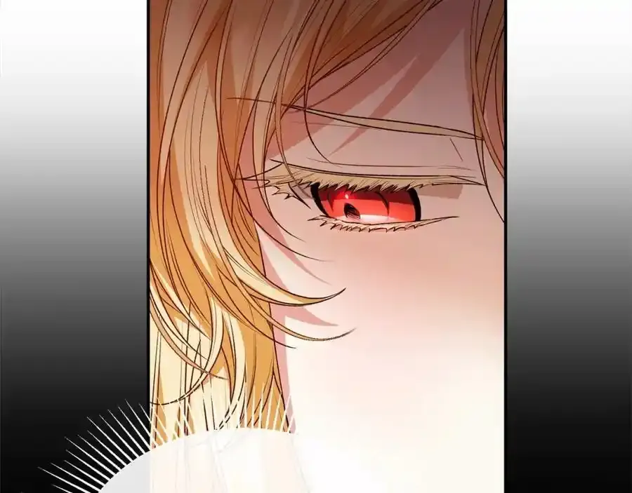 第75话 一同出发206