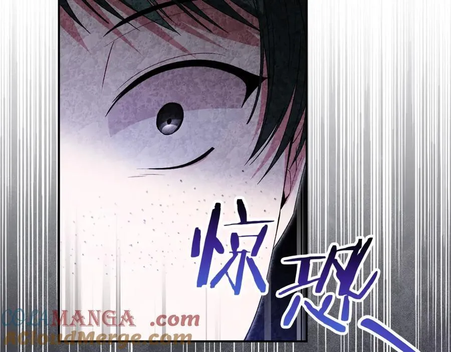 第108话 真心的祝愿176