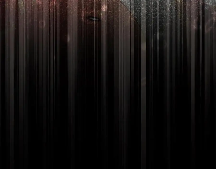 第78章 礼物19