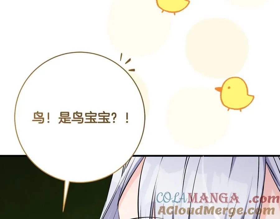 第66话 一只小鸟的缘分112