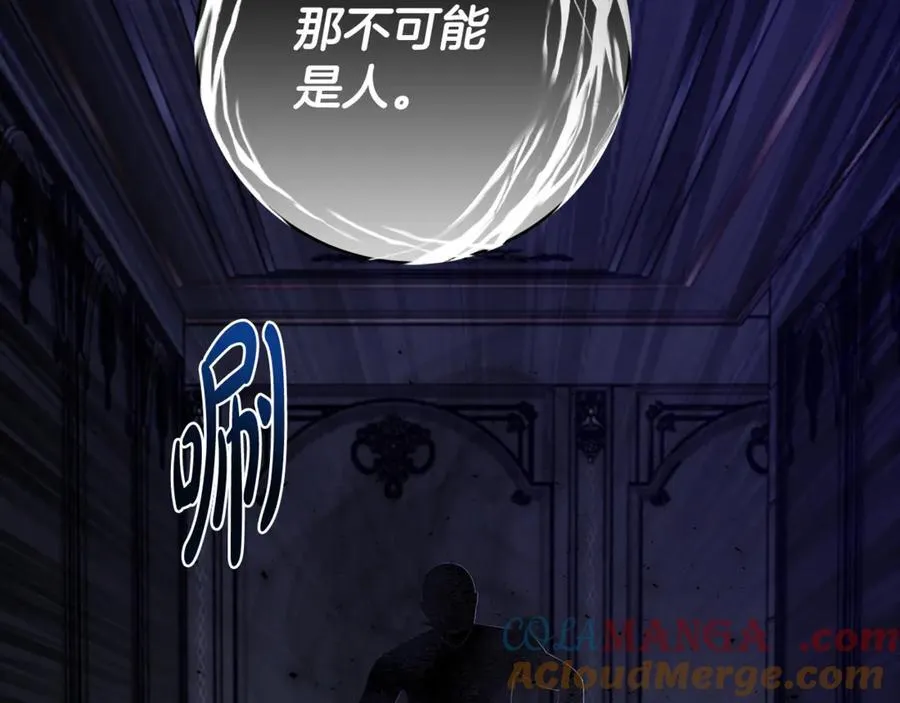 第58话 闪亮飞舞的蝴蝶116