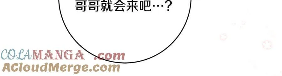 第66话 一只小鸟的缘分64