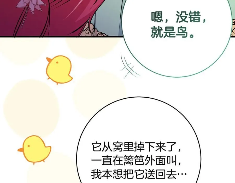 第66话 一只小鸟的缘分115