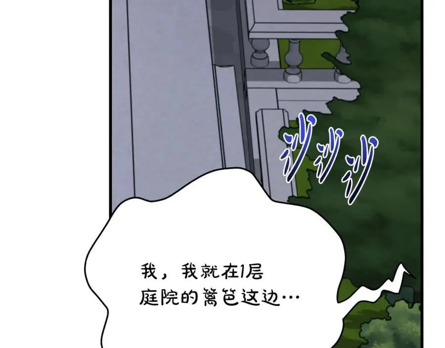 第66话 一只小鸟的缘分74
