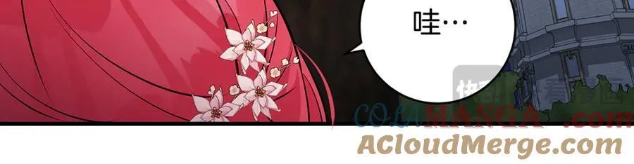 第66话 一只小鸟的缘分132